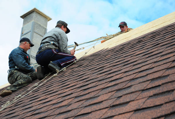 Best Tile Roofing Contractor  in Forest City, PA